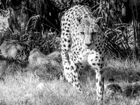 IMG_3897