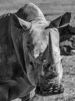 IMG_3892