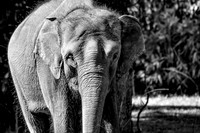 IMG_3873