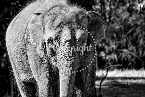 IMG_3873